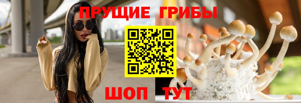 Псилоцибиновые грибы MAGIC MUSHROOMS Нефтеюганск